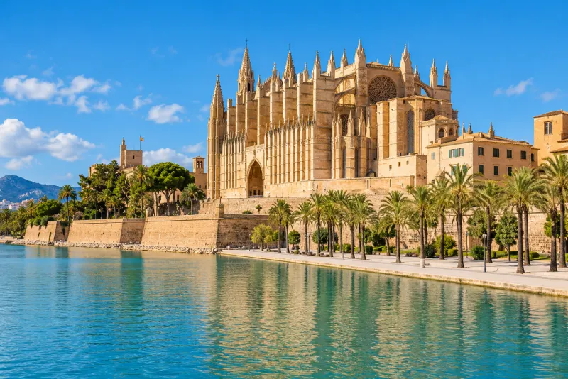 A huge Gothic cathedral beside a calm turquoise moat and palm trees in Palma