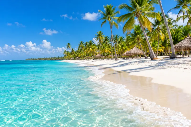 A white sand beach lined with palms and thatched shelters beside turquoise water in Punta Cana