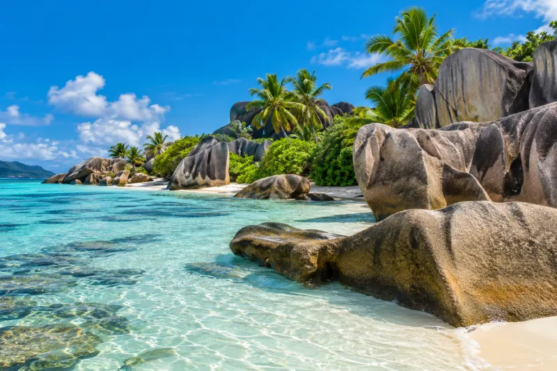 Giant smooth granite boulders, palms and clear turquoise shallows on a beach in Seychelles