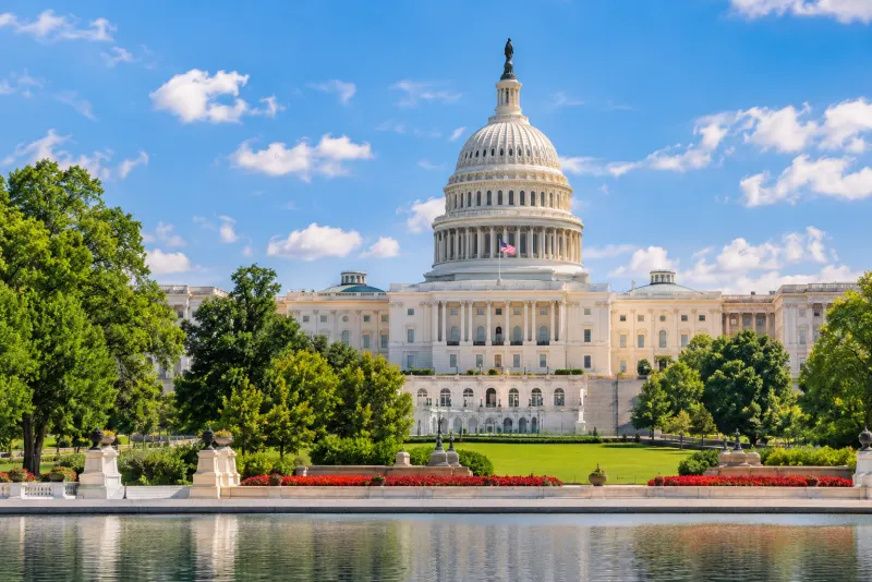 The white domed Capitol behind a reflecting pool and red flower beds in Washington